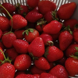 ˗ˏˋ 🍓 ˎˊ˗ icon