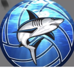 Bull Sharksᵗᵐ