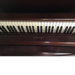 ~Piano Players~