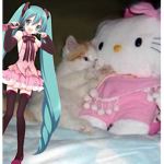 Group Thumbnail