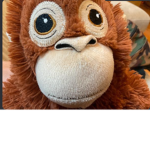 monkeys shirt