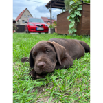 Lola153673