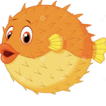 Lavidavi