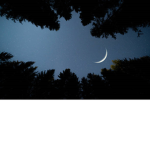 Reuniting Muslims