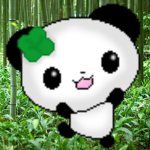 :3 Panda Panda Lolita :3