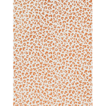 iilovia