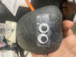 I luv my pet rocks