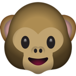 The Official Monkey Business