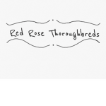 Red Rose Tb’s