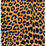 Leopard airways