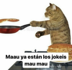 Guille_elgamer
