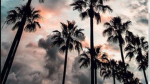 Lovlie Sunset