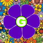 groovs