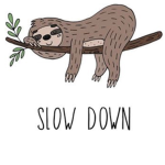 Don’t be fast slow down