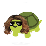 O o TURTLE ISLAND o O
