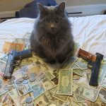 bang bang.