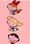 The cookie wild group