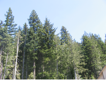 [ DANTDM ]  GET EATEN BY SEA CREATURES OBBY