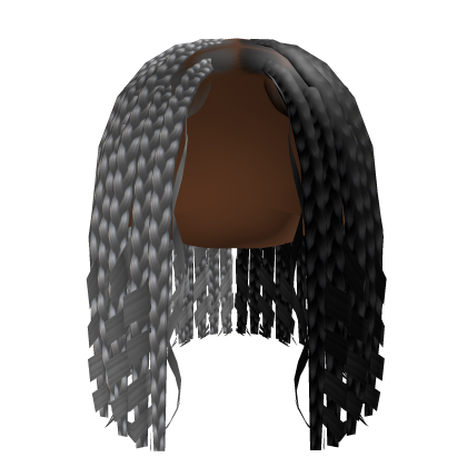 Goddess Coil Braids [Black&White] Roblox item