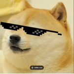 Dog KF