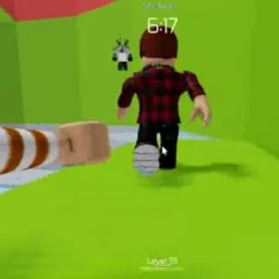 Pulse Obby