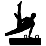 Gymnastics Guys