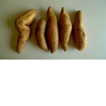 Wolf Potatos
