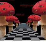 '-.* Weird Core Butterflies *.-'