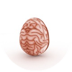 Brain Egg