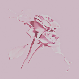 ♡