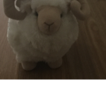 Roblox ram group