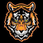 Tiger' Designs