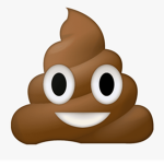 Poop Foundation