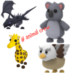 #Animal crew