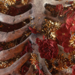 decorus feles