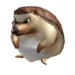 Hedgehog's Life