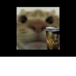 Gamer_ girl_ I like. Milk