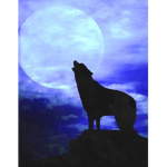 Moonvalley Wolves
