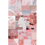 aesthetic bear hub :D