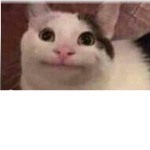 Voy a dar robuxxd