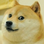 -The Doge Legion-