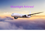 Moonlight Airlines Official