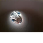 Sxrbbleq