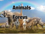 Animals forevs