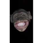 MonkeyTribe_2good4u
