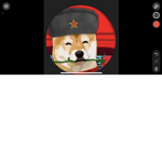 The Soviet doges/doge