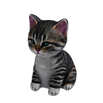 Cute Cat Suit