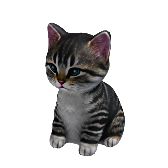 Cute Cat Suit
