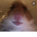Hi I’m robertochavez200