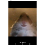 Lo que pasa aqui aqui se queda esto es derio hijo